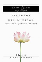 Aprenent del budisme