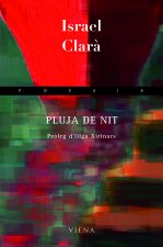 PLUJA DE NIT