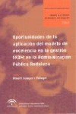 OPORTUNIDADES APLICACION MODELO EXCELENCIA GESTION