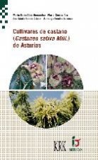 CULTIVARES DE CASTAÑO (CASTANEA SATIVA MILL.) DE ASTURIAS