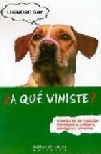 ¿A QUE VINISTE?