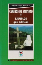 Caminos de santidad V