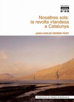 Nosaltres sols: la revolta irlandesa a Catalunya