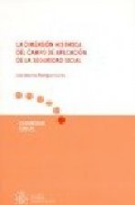 La dimensión histórica del campo de aplicación de la seguridad social