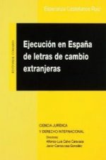EJECUCION EN ESPAÑA DE LETRAS DE C