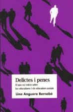 Delictes i penes