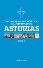 DICCIONARIO ENCICLOPEDICO DEL PRINCIPADO DE ASTURIAS (TOMO 3