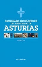 DICCIONARIO ENCICLOPEDICO DEL PRINCIPADO DE ASTURIAS (TOMO 1