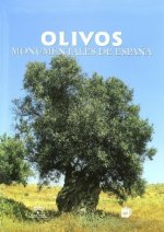 OlivosámonumentalesádeáEspaña