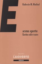 259.ESCENA APERTA.ESCRITOS SOBRE O TEATRO