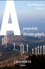 292.A PROPIEDADE DO VENTO GALEGO