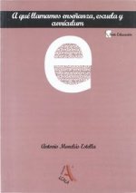 A QUE LLAMAMOS ENSEÑANZA ESCUELA Y CURRICULUM