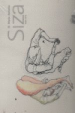 María Antonia Siza, 1940-1973. Dibujos