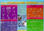 AEROBIC TENIS