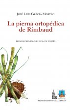 La pierna ortopédica de Rimbaud