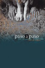 Paso a paso por el Camino de Santiago