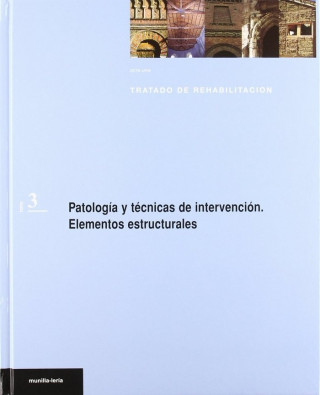 PATOLOGIA Y TECNICAS DE INTERVENCION : ELEMENTOS ESTRUCTURALES (T.3)