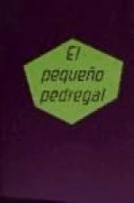 El pequeño pedregal