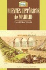 Los puentes históricos de Madrid