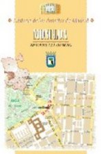 Historia de los distritos de Madrid. Moncloa