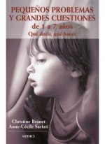 PEQUEÑOS PROBLEMAS Y GRANDES CUESTIONES