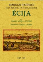 Bosquejo histórico de la ciudad de Écija formado desde sus primitivos tiempos hasta la época contemp