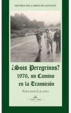 ¿Sois peregrinos?