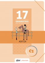 Gramatika Lan-Koadernoa 17 Aditza
