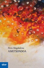 Ametsondoa