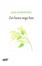 Zer luzea negu hau
