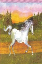 Princess top horses coloring book
