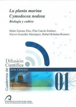 La planta marina Cymodocea nodosa
