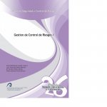 Gestión del Control de Riesgos I