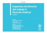ESQUEMAS DE DERECHO DEL TRABAJO II. DERECHO SINDICAL. TOMO XX. 4ª