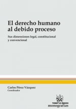 El Derecho Humano al Debido Proceso