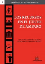 Los recursos en el juicio de amparo