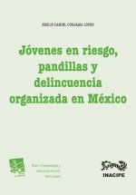Jóvenes en riesgo, pandillas y delincuencia organizada en México