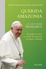 Querida Amazonia