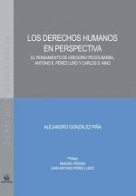Los derechos humanos en perspectiva: El pensamiento de Gregorio Peces-Barba, Antonio E.Pérez Lucio y