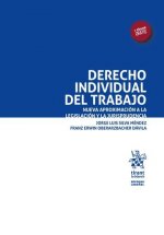 Derecho individual del Trabajo. Nueva aproximación a la legislación y la jurisprudencia