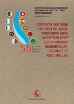El apoyo a los paÍses del Sahel en su lucha contra el terrorismo: una aproximación económica, social