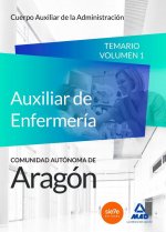 Cuerpo Auxiliar de la Administración de la Comunidad Autónoma de Aragón, Escala Auxiliar de Enfermer
