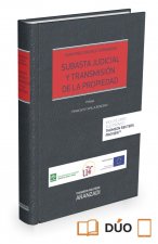 Subasta judicial y transmisión de la propiedad (Papel + e-book)