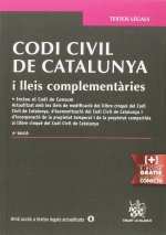 Codi Civil de Catalunya i lleis complementàries 9ª Edició 2015