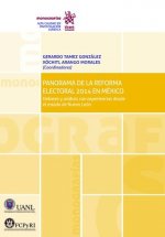 Panorama de la reforma Electoral 2014 en México
