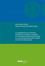 La exigibilidad de los derechos económicos, sociales y culturales en la Sociedad internacional del s