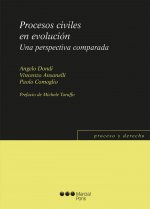 Procesos civiles en evolución