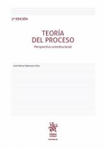 Teoría del Proceso Perspectiva Constitucional