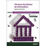 Supuestos prácticos Técnicos Auxiliares de Informática de la Administración General del Estado
