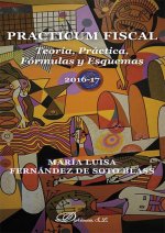 Practicum fiscal. Teoría, práctica, fórmulas y esquemas